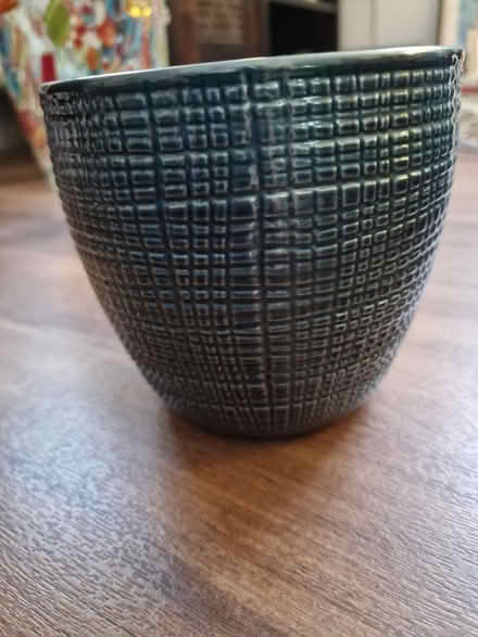 Photo of free Green plant pot (Westhampnett) #1