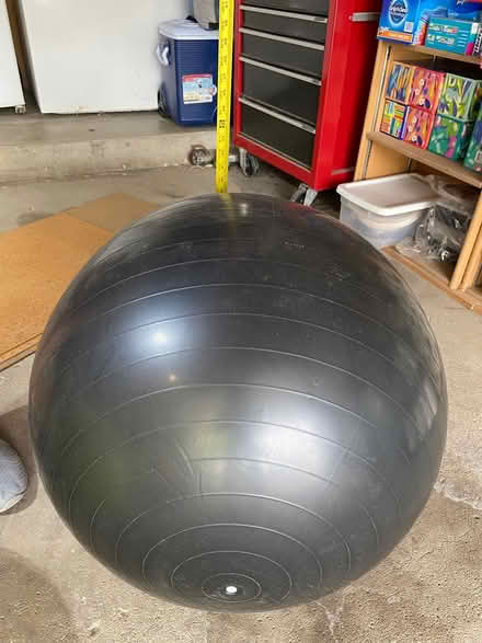 Photo of free Exercise ball (black) (north Downers Grove) #1