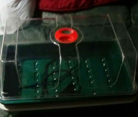 Photo of free Propagater (Cosham PO6) #1