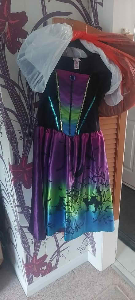 Photo of free Witches Haloween Fancy Dress (Hawley GU17) #1