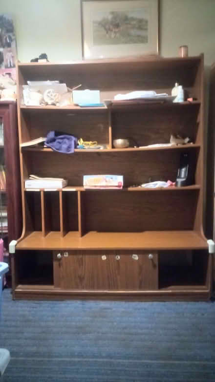 Photo of Wood To Strengthen Bookcase (PL4) #2