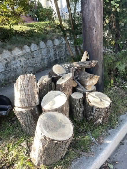 Photo of free Logs - Firewood, Landscaping, Etc (Brookland - NE DC) #1