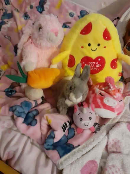 Photo of free Plush toys (Penrith CA11) #1