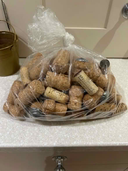Photo of free Corks (Cropston LE7) #1