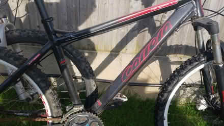 Photo of free Mans bike (TN38) #1