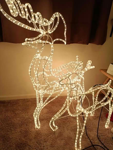 Photo of free Christmas Reindeer (Letchworth (South)) #1