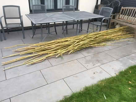 Photo of free Bamboo Poles (Yateley GU46) #1