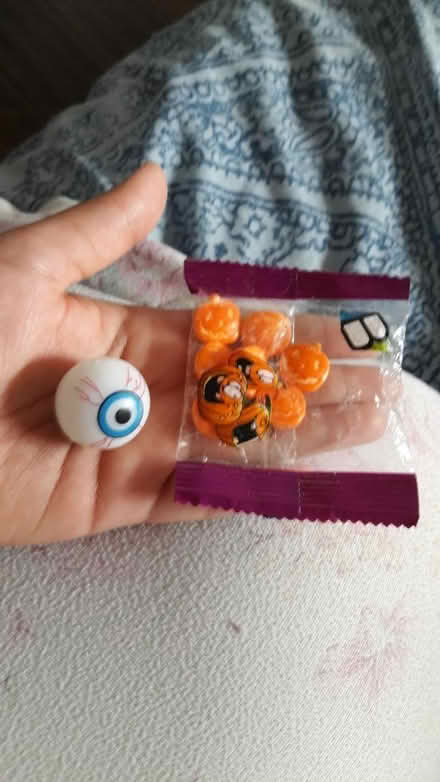 Photo of free Halloween items (725 Danforth Road) #1