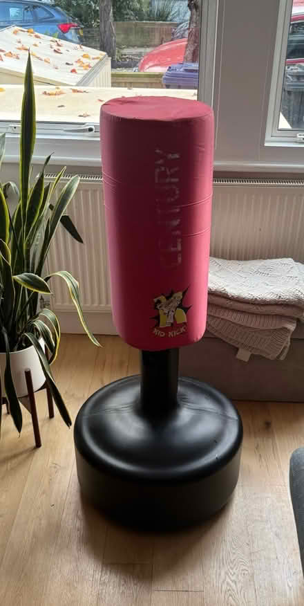 Photo of free Kids punch bag (Ealing W5) #1