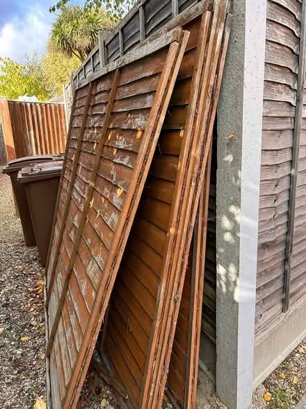 Photo of free Old fence panels (Chelmer village Chelmsford) #2