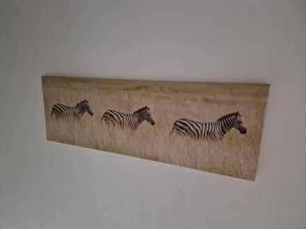 Photo of free Photo canvas (Wallasey) #2