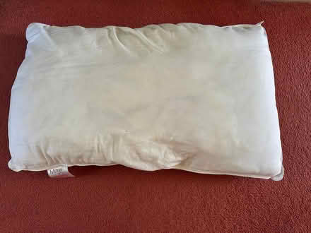 Photo of free Pillow (for dog) (Canford Heath BH17) #1