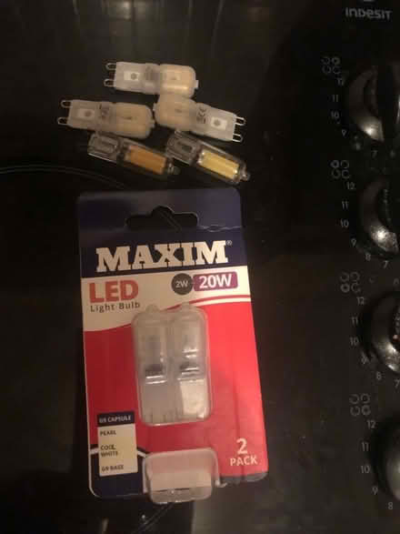 Photo of free Light bulbs (Trudoxhill BA11) #2