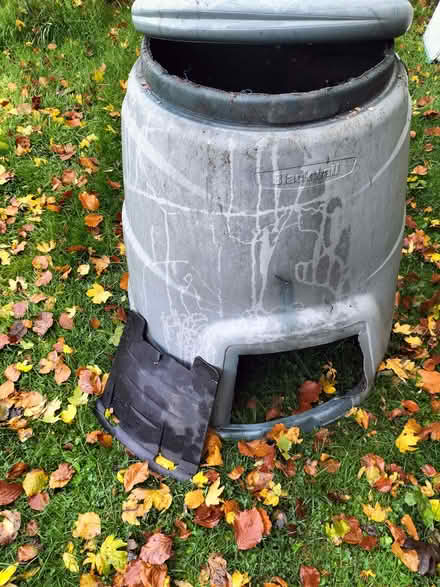 Photo of free Compost bin (Chippenham SN14) #1