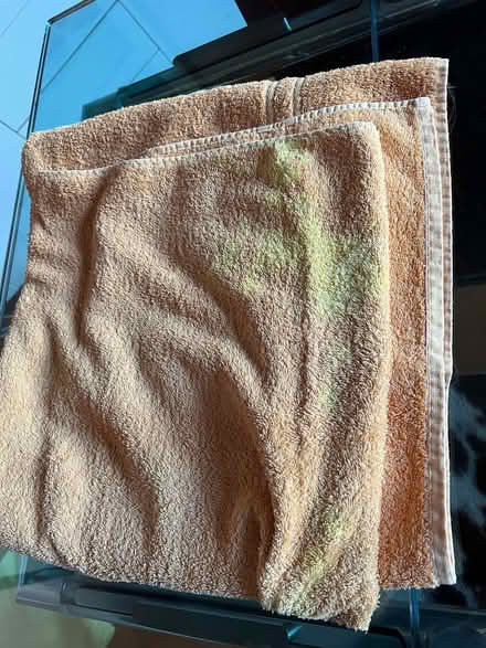 Photo of free Two Designers Guild Bath Sheets (Fulham Palace Rd W6) #2