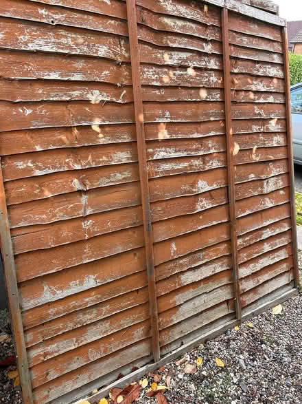 Photo of free Old fence panels (Chelmer village Chelmsford) #1