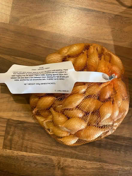 Photo of free Bag of seed onions (Southdown) #1