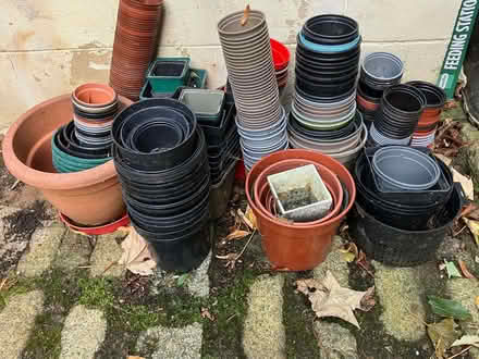 Photo of free Range of plant pots (Headingley LS6) #1
