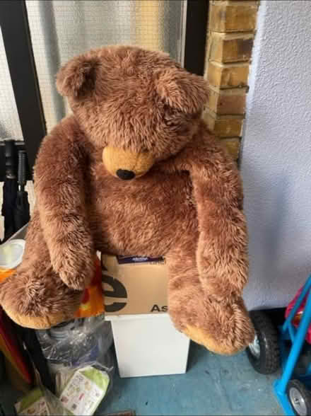 Photo of free Teddy (W10 nottinghill) #1
