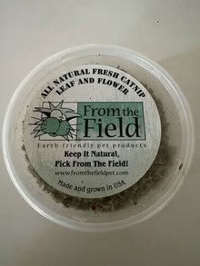 Photo of free catnip #1