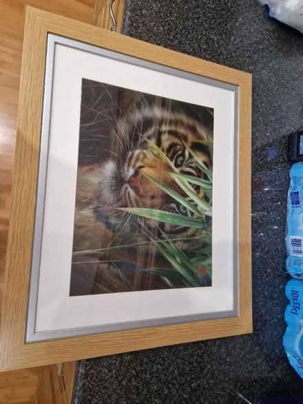 Photo of free Photo canvas (Wallasey) #1