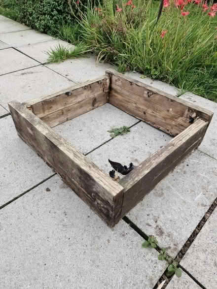 Photo of free Planter? (CH42 tranmere) #1