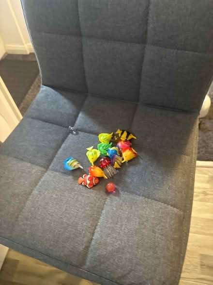 Photo of free Mini aquarium (Walkden M28) #2