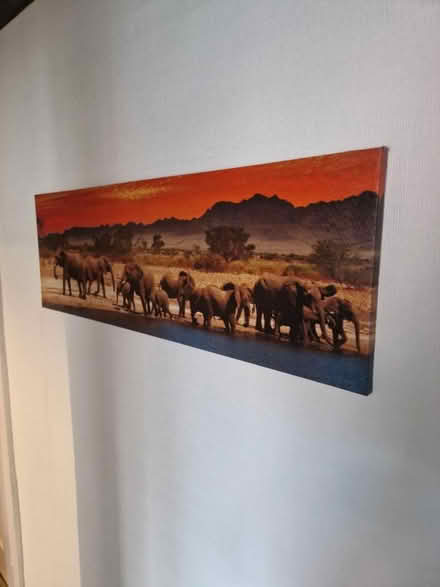 Photo of free Photo canvas (Wallasey) #3