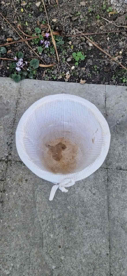 Photo of free Round wicker bin (CO7) #2