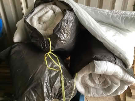 Photo of free Duvets suitable for pet bedding (TF9) #1