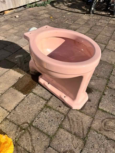 Photo of free Fab pink vintage toilet for planter (CR7 Thornton heath) #1