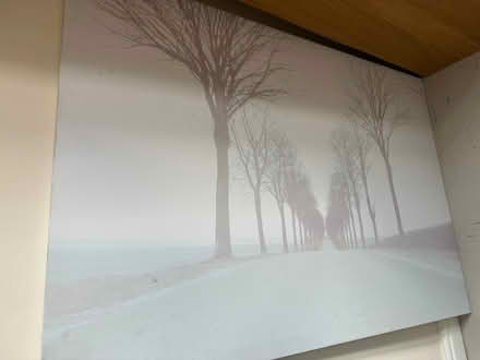 Photo of free Beautiful painting canvas (E5) #1