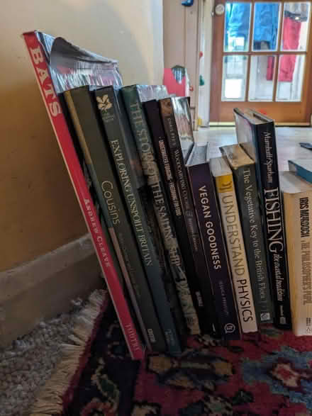 Photo of free Good books - NOT the DaVinci Code (Harbertonford TQ9) #1