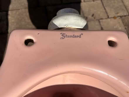 Photo of free Fab pink vintage toilet for planter (CR7 Thornton heath) #3