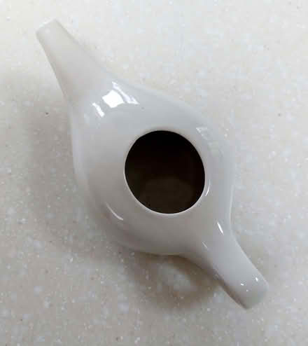 Photo of free Neti pot (Ringmer BN8) #1