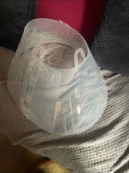 Photo of free Large dog cone (W10 nottinghill) #1