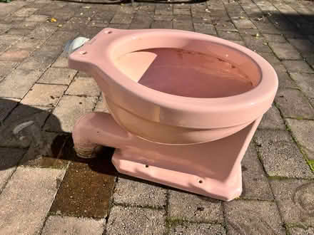 Photo of free Fab pink vintage toilet for planter (CR7 Thornton heath) #2