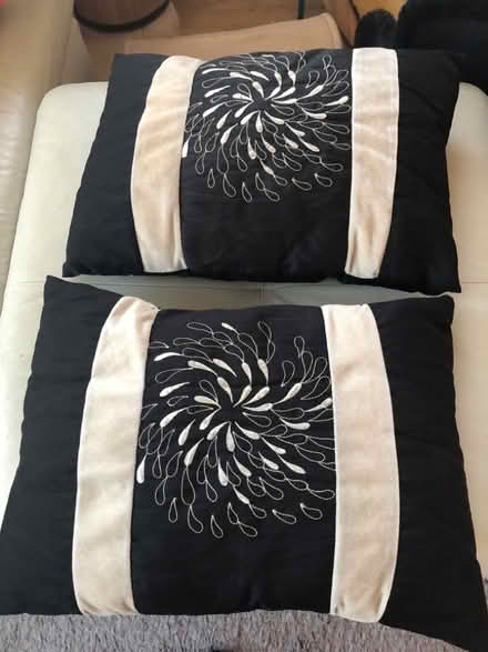 Photo of free 2 cushion and rugs (Waddon CR0) #1
