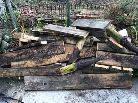 Photo of free wood fire wood for bonfire (llanfechell) #2