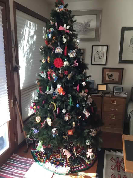 Photo of free Christmas tree (Wonderland Hill, Boulder) #2