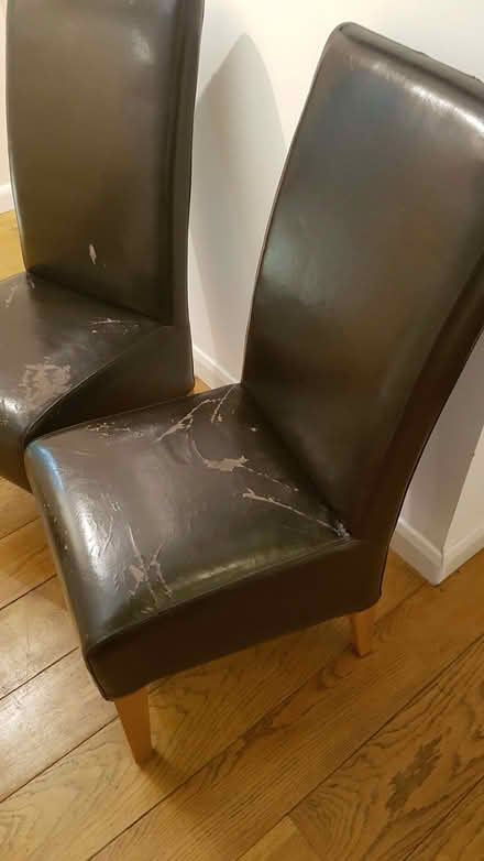 Photo of free Dining chairs (Henley-on-Thames RG9) #1