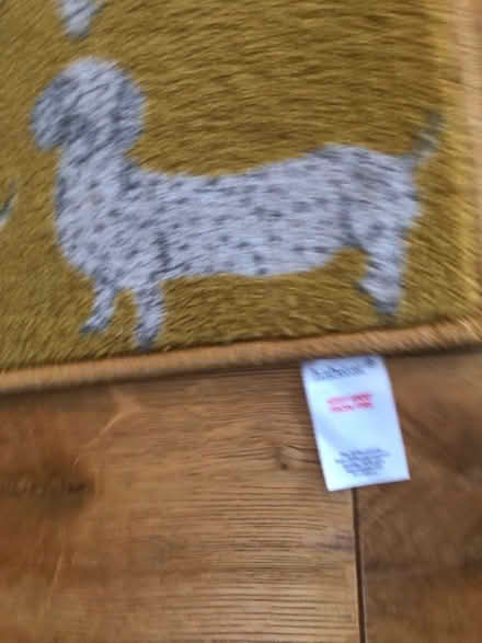 Photo of free 2 cushion and rugs (Waddon CR0) #3