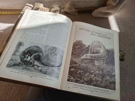 Photo of free Old Cassells encyclopedia books. (Eastbourne BN20) #2