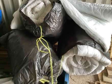 Photo of free Duvets suitable for pet bedding (TF9) #2