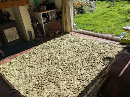 Photo of free Big green fuzzy rug (Wollaton Park NG8) #2