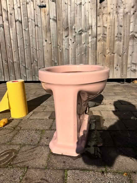 Photo of free Fab pink vintage toilet for planter (CR7 Thornton heath) #4