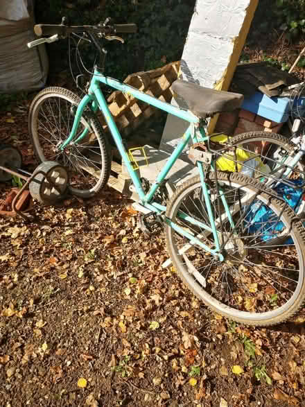 Photo of free Two cycles (Surrey Hills Cranleigh) #2