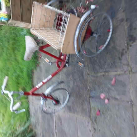 Photo of free Tricycle (shepperton) #2