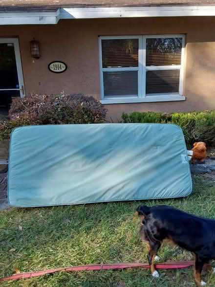 Photo of free Mattress for hospital bed (Lutz) #1