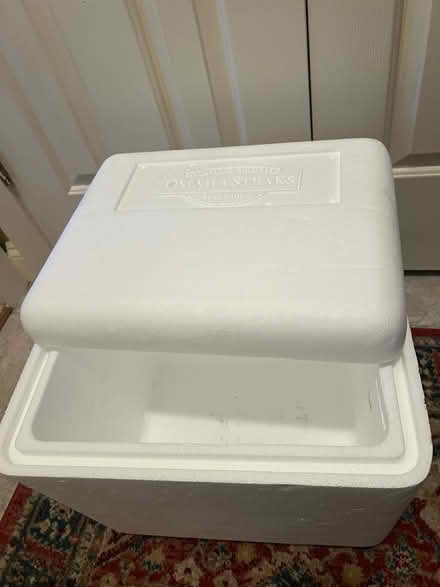 Photo of free Styrofoam cooler (Cherrydale North Arlington VA) #2